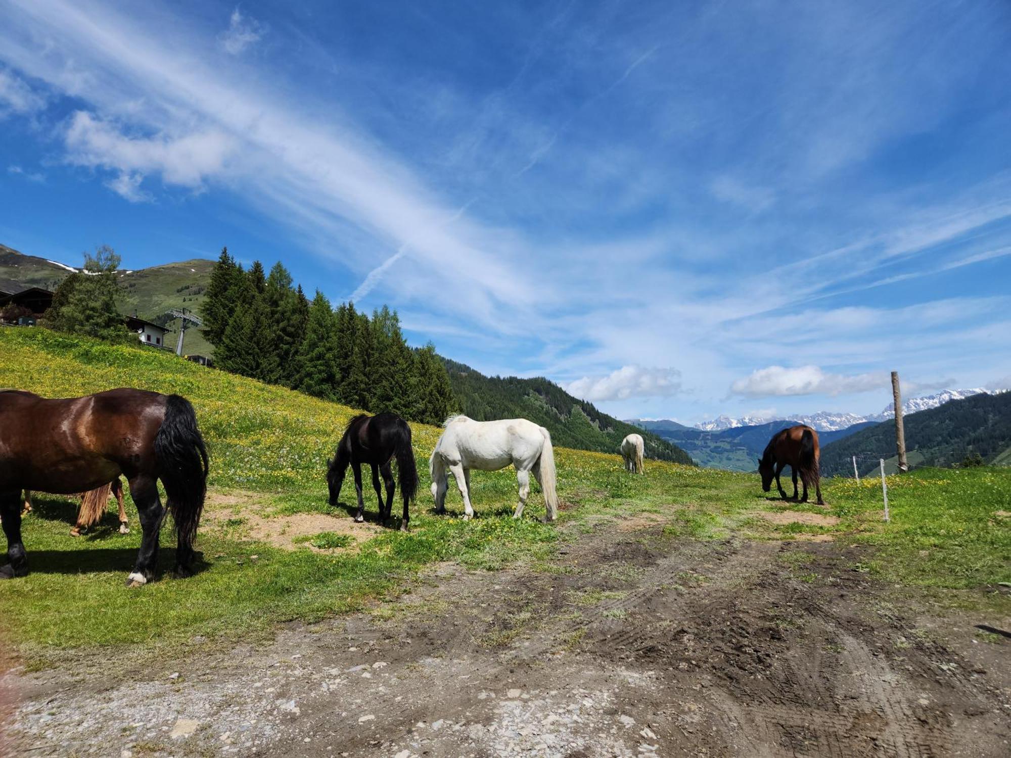 Lipphuette Top Lage Mit Traumhafter Aussicht Rauris Buitenkant foto